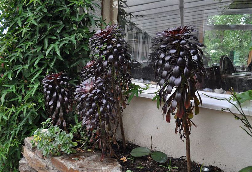 Отель The Smugglers Inn