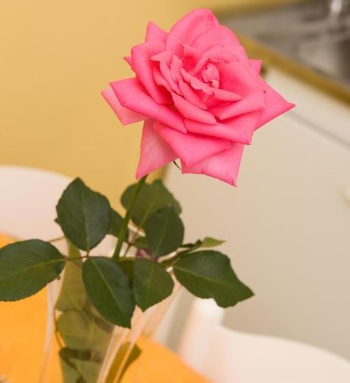 Kahlua Hotel Apartments