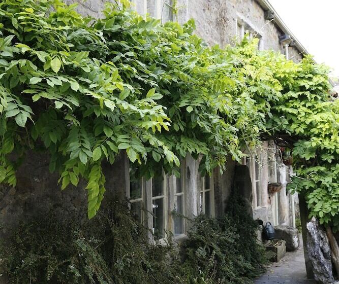 بنسيون Ashfield House