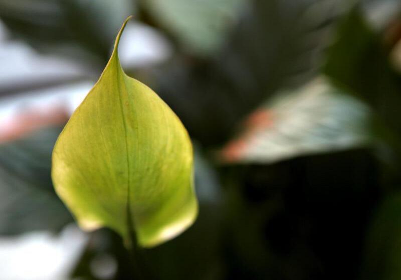 پانسیون K Pop Hotel Seoul Station