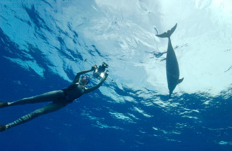 פנסיון Pousada Luna