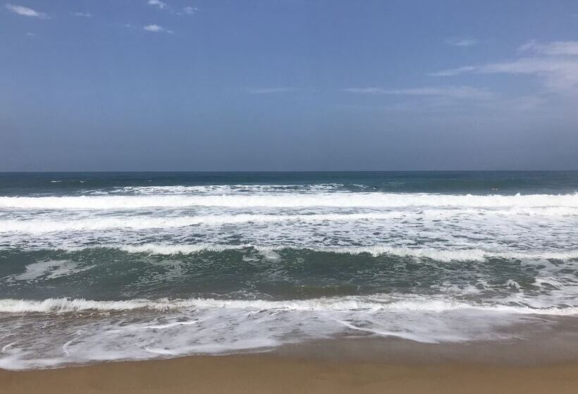 ペンション Pousada Massaguaçu