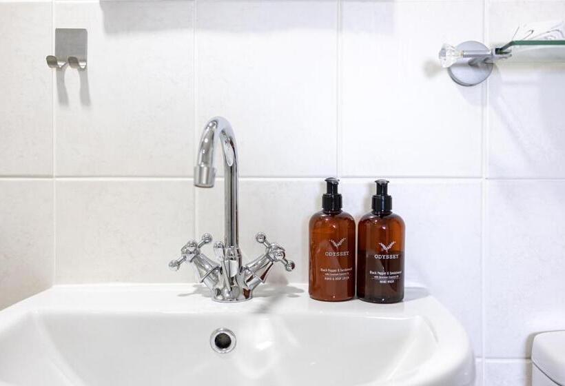 بنسيون The Wadham