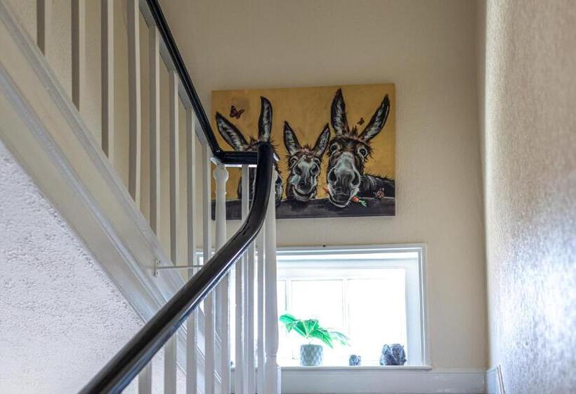 بنسيون The Wadham