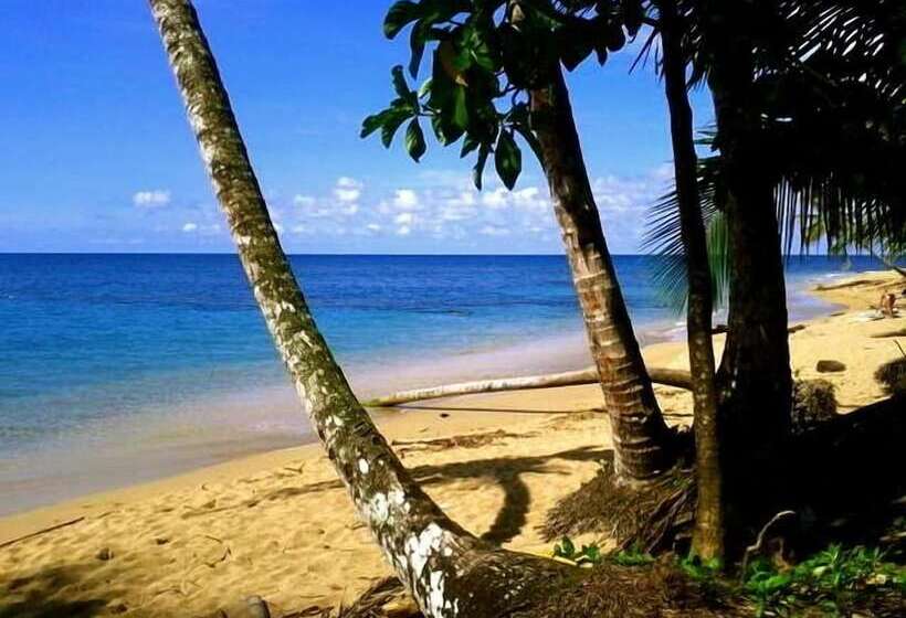 Physis Caribbean Bed & Breakfast