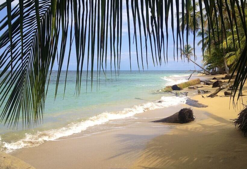 Physis Caribbean Bed & Breakfast