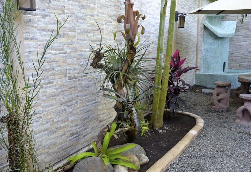 Physis Caribbean Bed & Breakfast