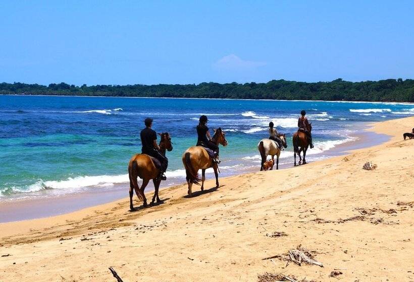 Physis Caribbean Bed & Breakfast