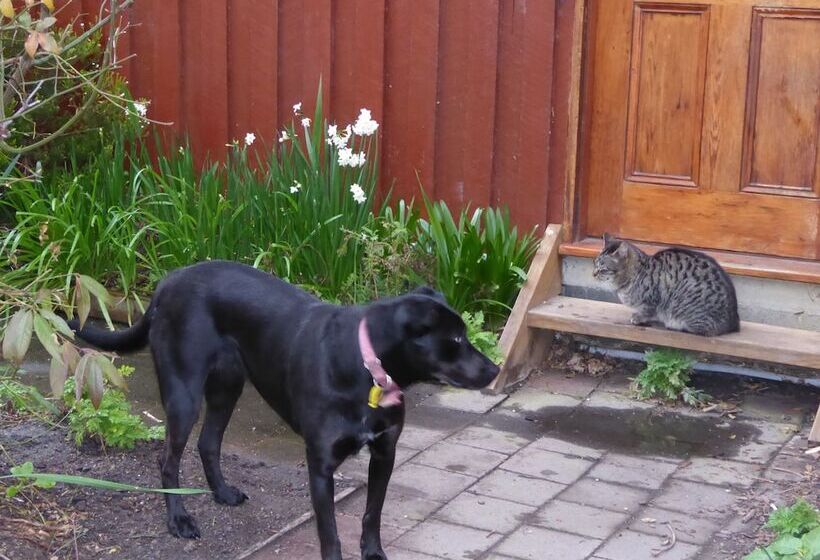 Platypus Park Country Retreat