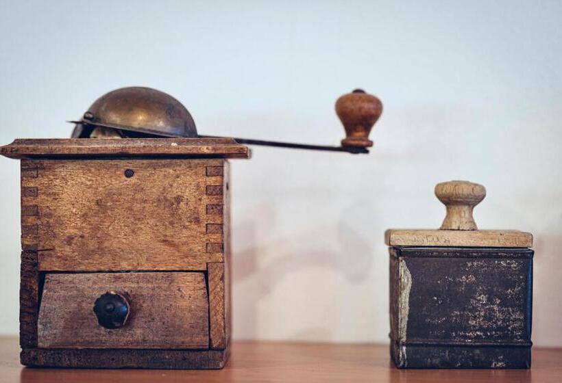 Pohorje Village Wellbeing Resort Forest Hotel Videc