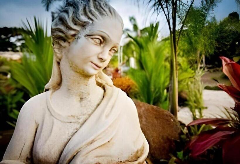 استراحتگاه Orator Hotel Samoa