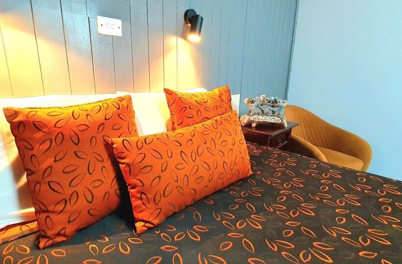 Goldrush Motel Young Cbd