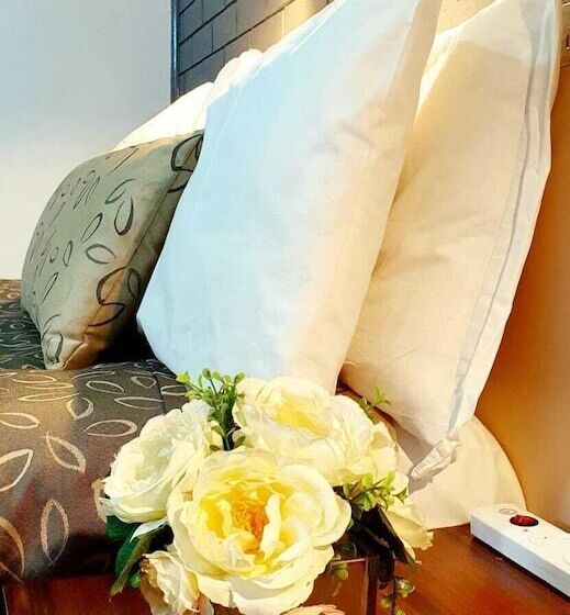 Goldrush Motel Young Cbd