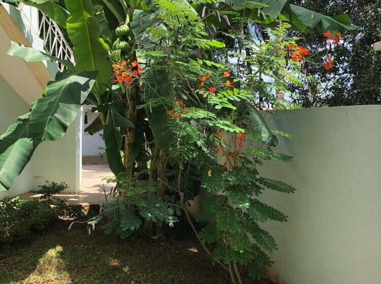 فندق Green Turaco