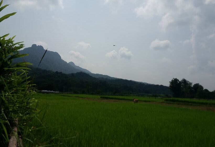 فندق Him Doy Muang Pan