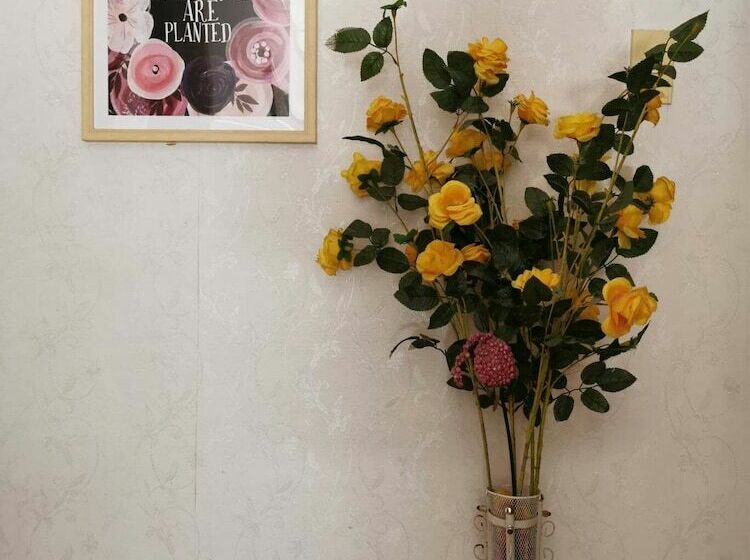 فندق Señorita Suites