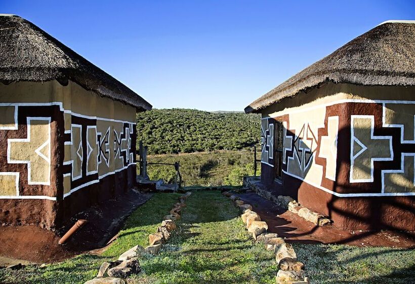 Addo Bush Palace Private Reserve