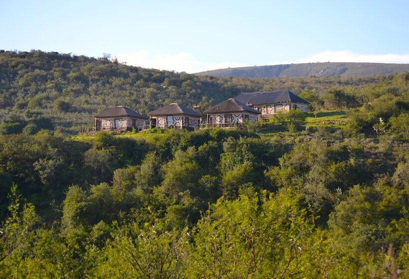 Addo Bush Palace Private Reserve