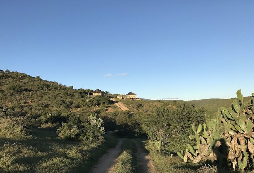 Addo Bush Palace Private Reserve