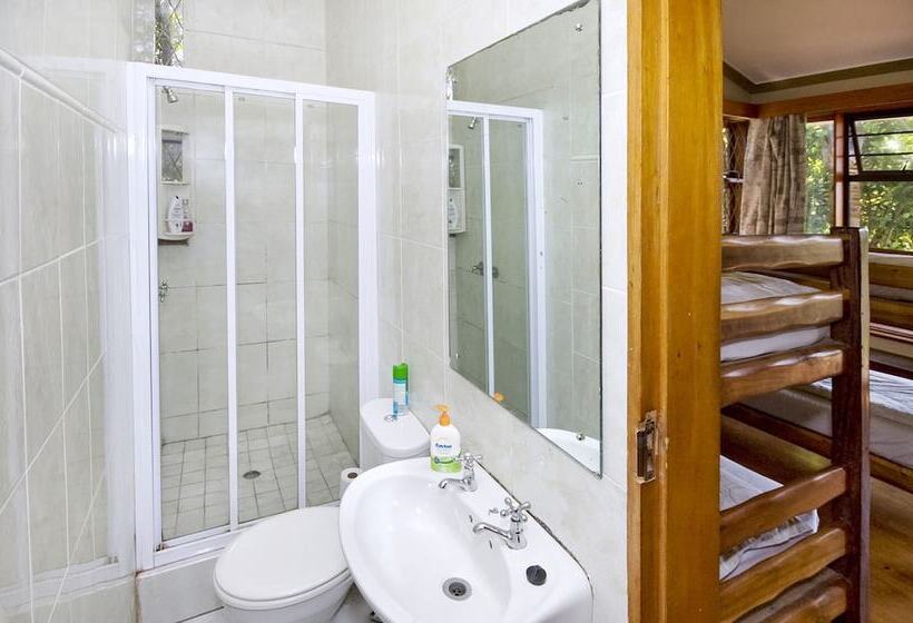 Общежитие Lungile Backpackers Lodge