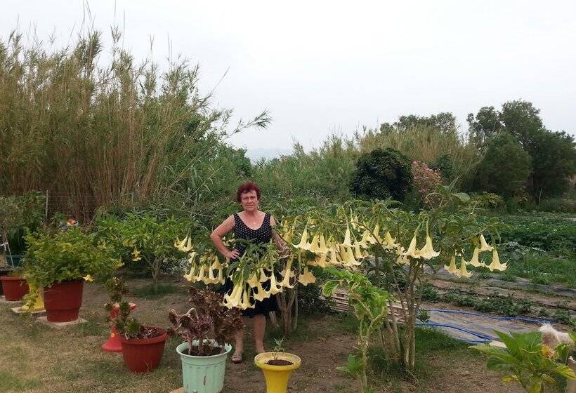 Baladinos Apartments