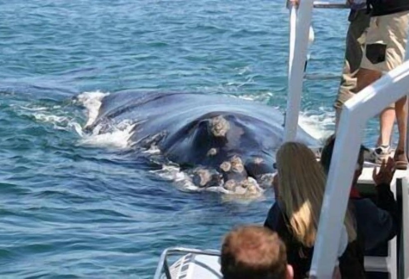 민박 Milkwood Lodge