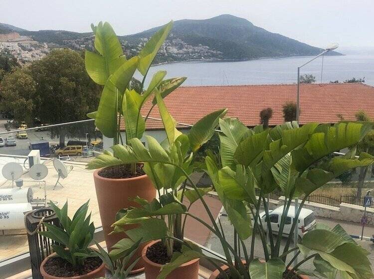 צימר Samira Exclusive Hotel & Apartments