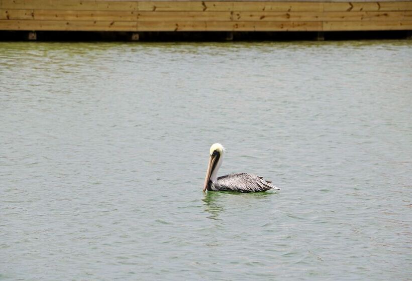 Caribbean Lofts Bonaire
