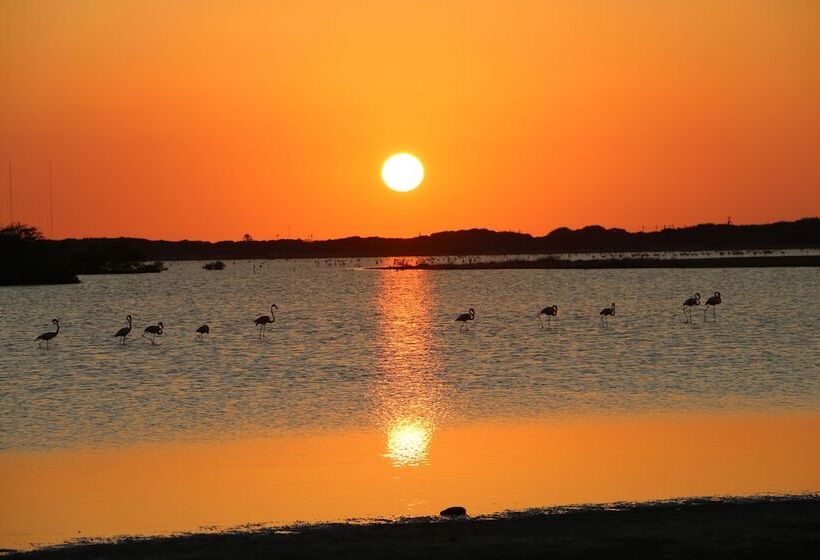 Caribbean Lofts Bonaire