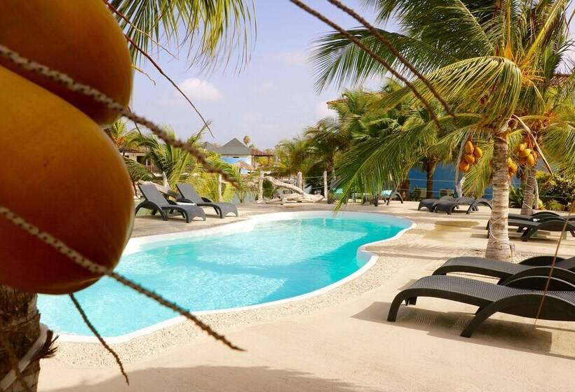 Caribbean Lofts Bonaire