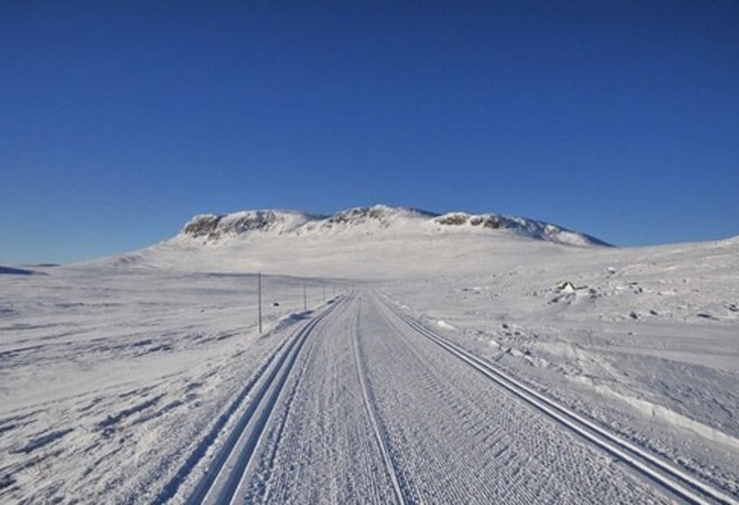 Havsdalsgrenda Apartments