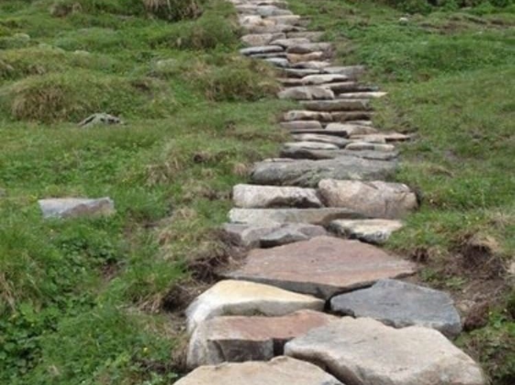 Havsdalsgrenda Apartments