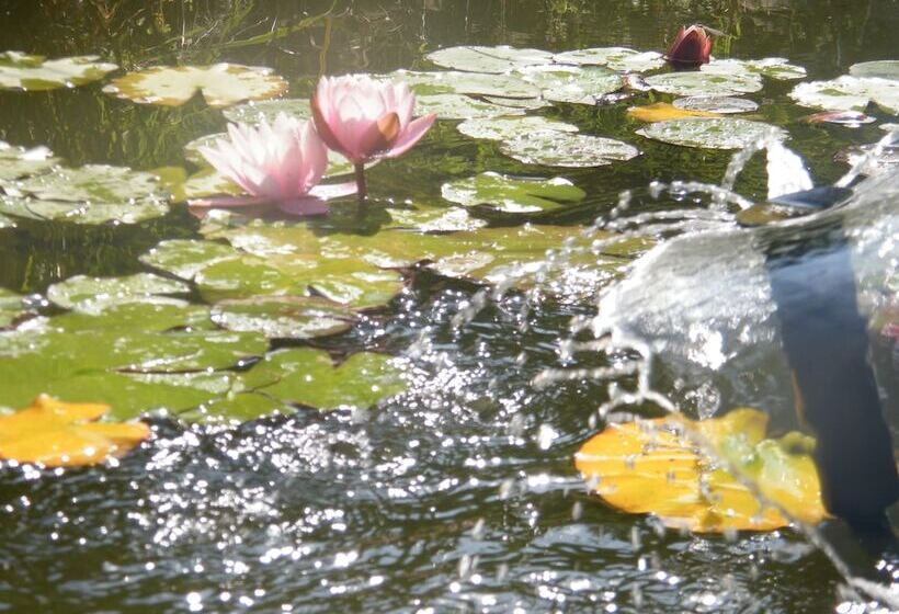 호텔 Agriturismo Poggio Alle Lame