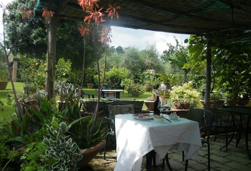 호텔 Agriturismo Poggio Alle Lame