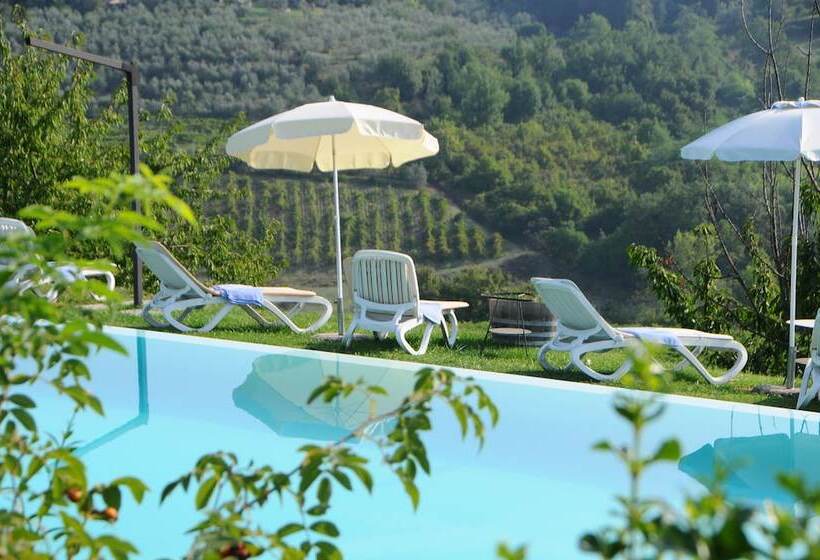 호텔 Agriturismo Poggio Alle Lame