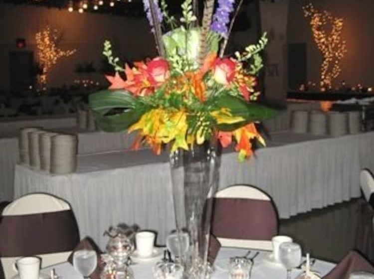 فندق Alma Comfortable Inn