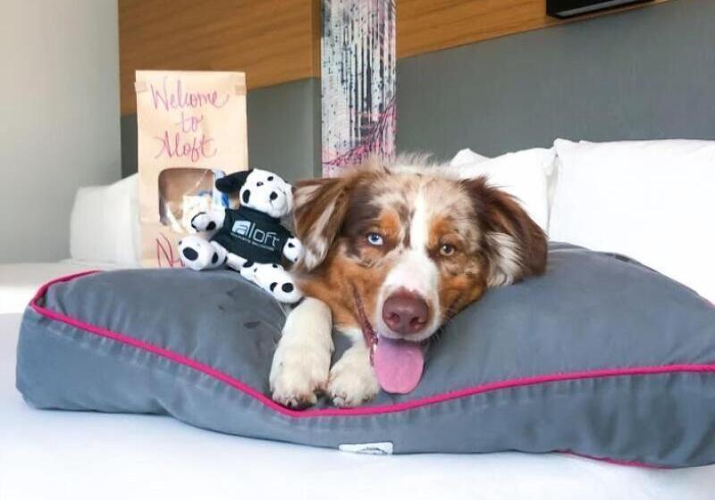 هتل Aloft Durham Downtown