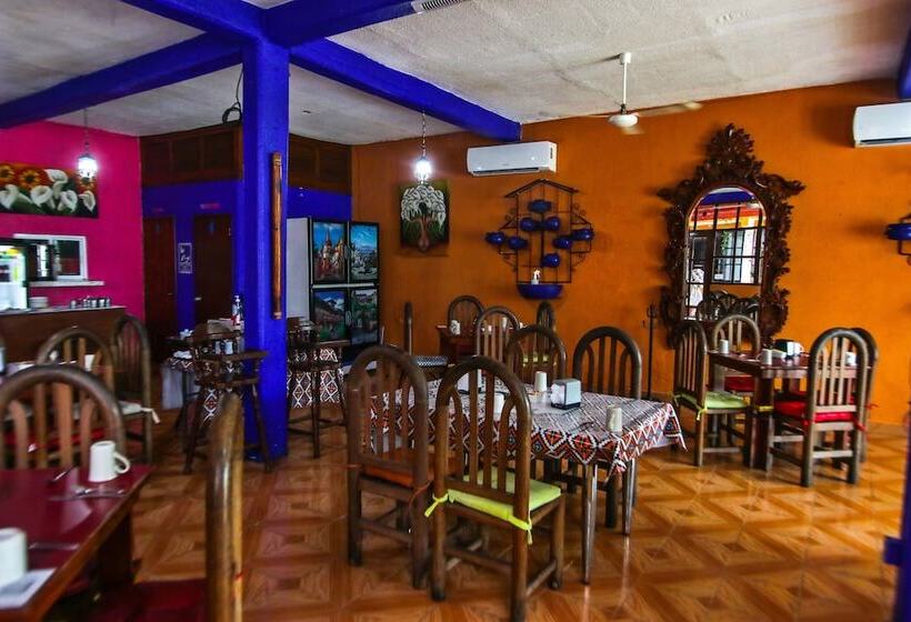 فندق Bello Caribe