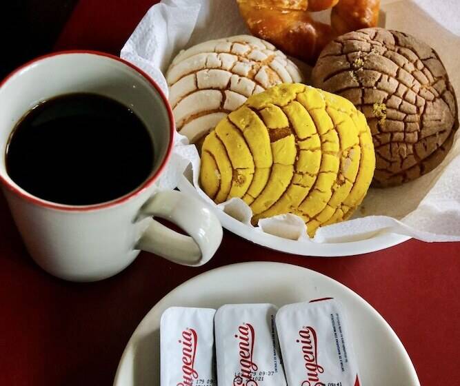 فندق Bello Caribe