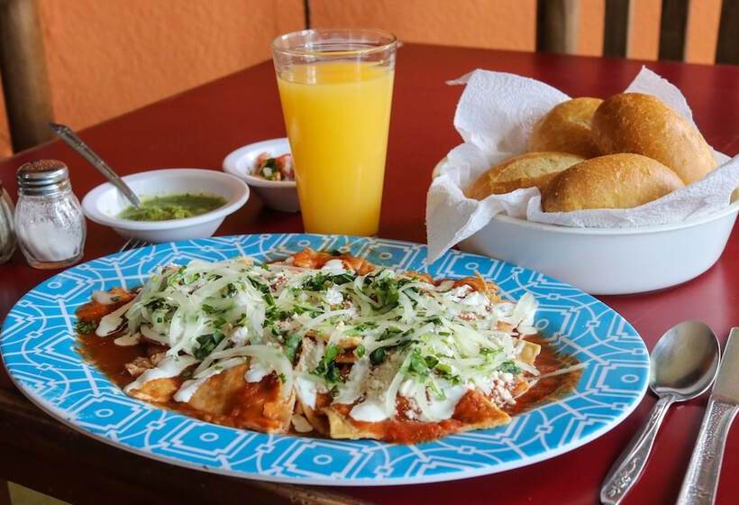 فندق Bello Caribe