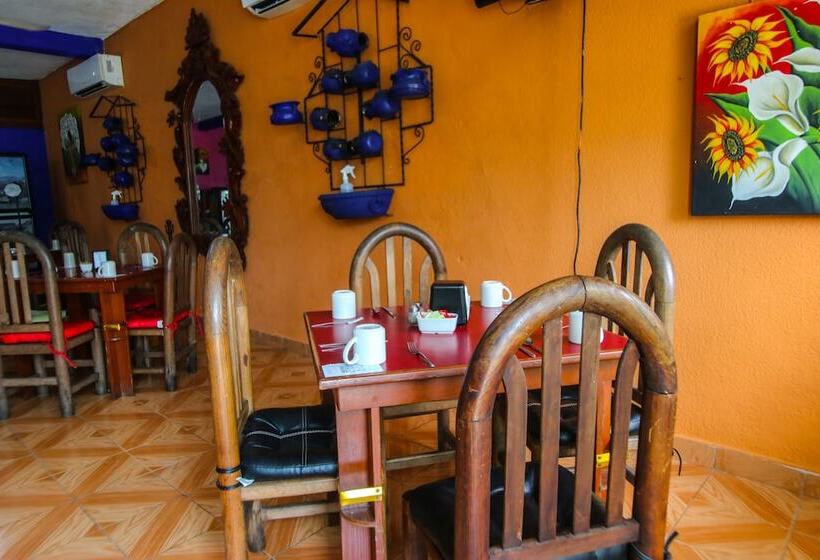 فندق Bello Caribe