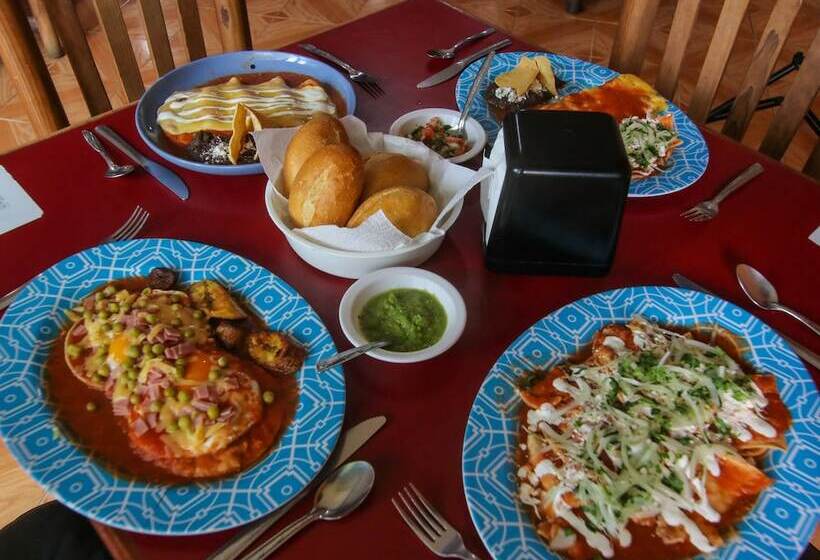 فندق Bello Caribe