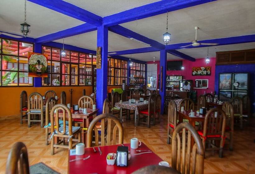 فندق Bello Caribe