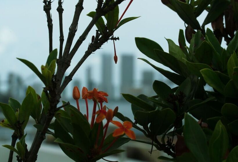 فندق Buenos Aires