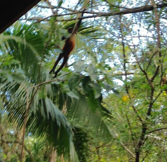 Отель Casa Manglar Villa