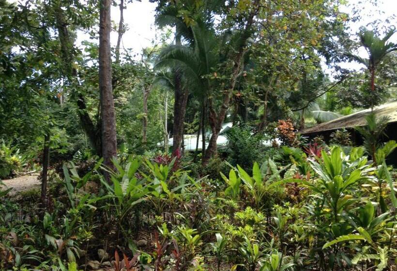 Отель Casa Manglar Villa