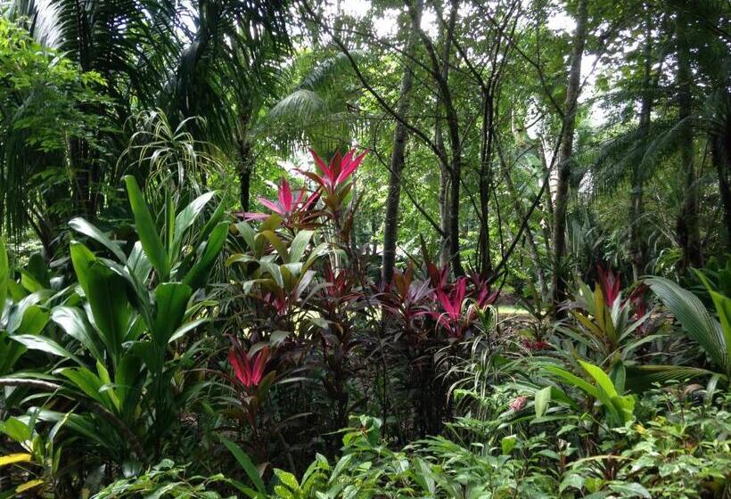 Отель Casa Manglar Villa