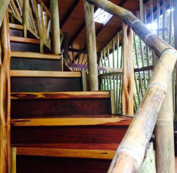 Отель Casa Manglar Villa