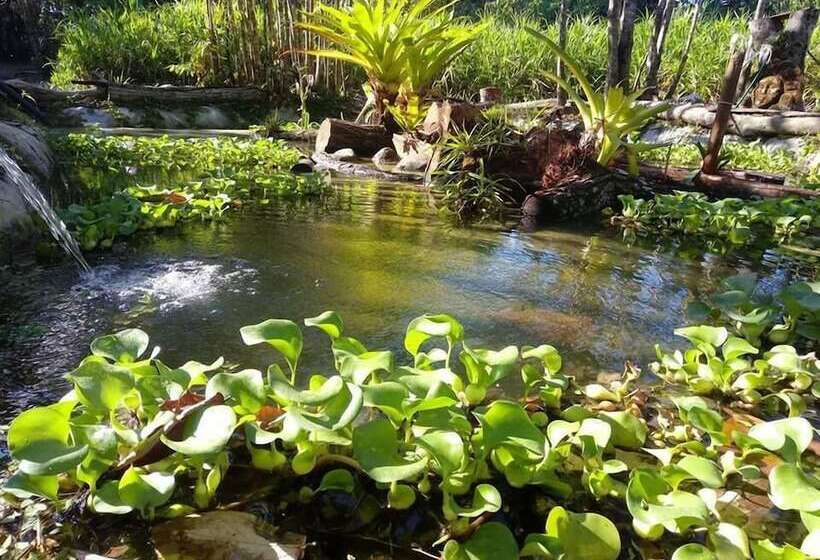 Отель Casa Manglar Villa