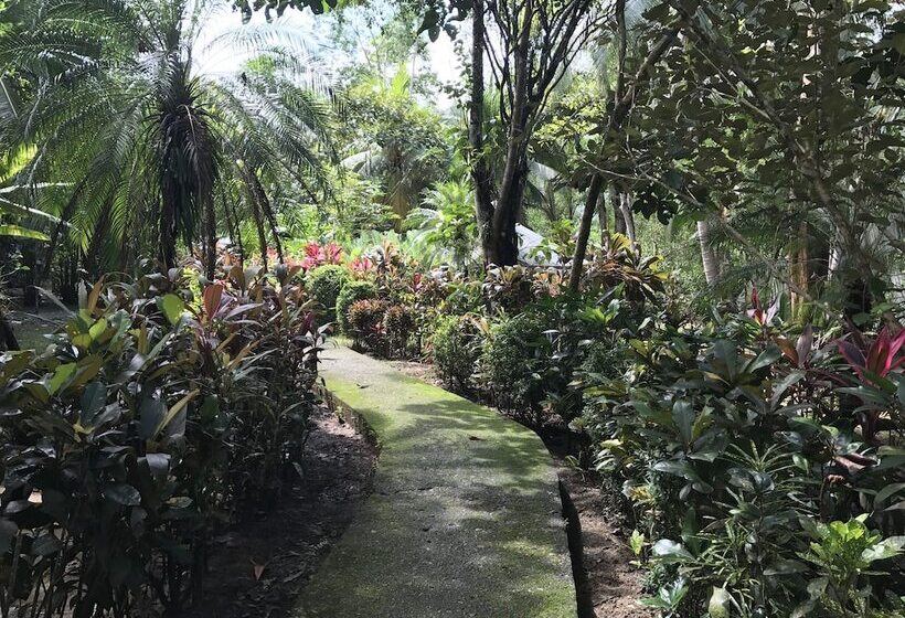 Отель Casa Manglar Villa